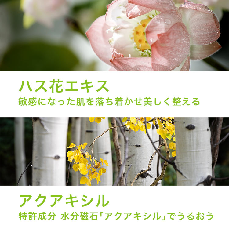 保湿クリーム カーミング ロータスクリーム｜ロベクチン日本公式