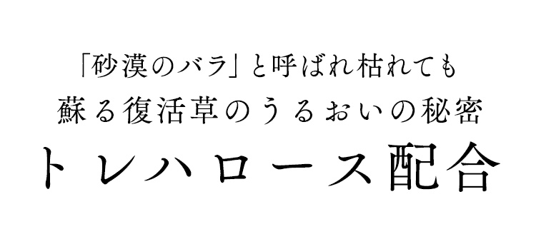 PoulluStopテクノロジー