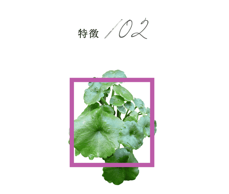 特徴02
