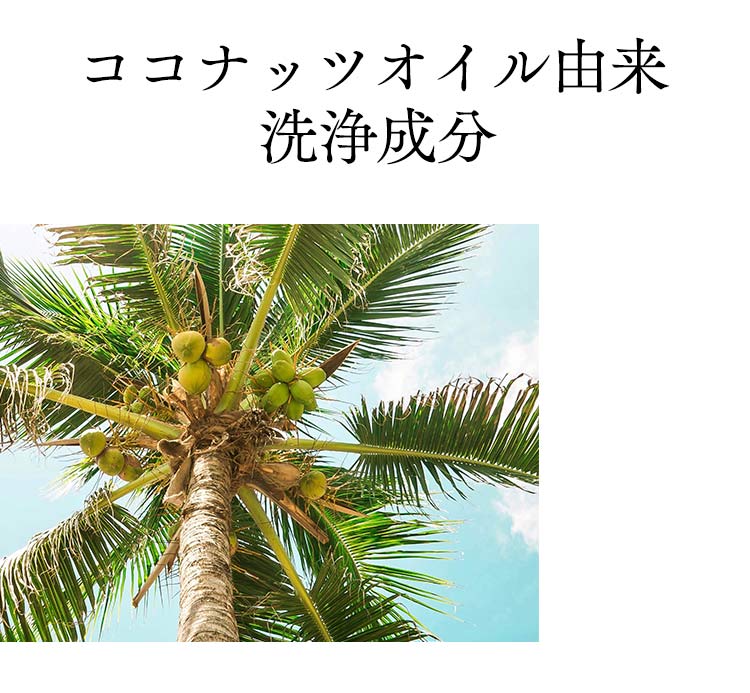 ココナッツオイル由来洗浄成分
