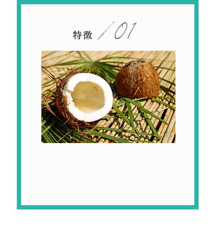 特徴1
