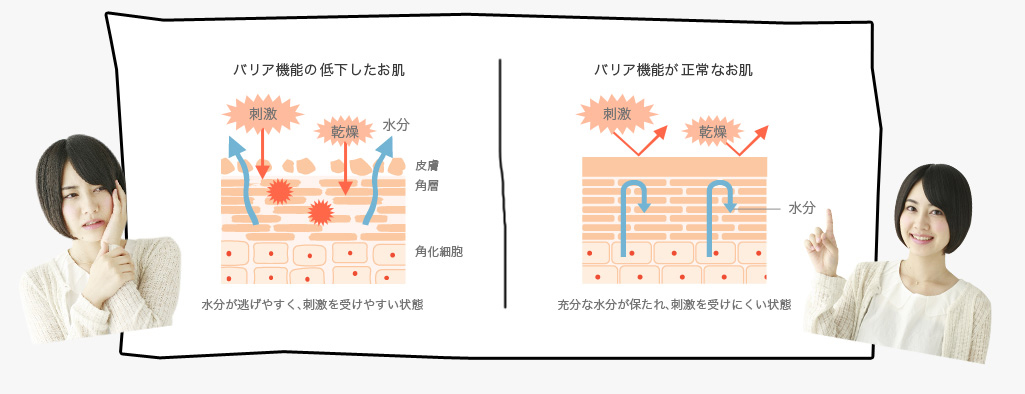 肌のバリア機能